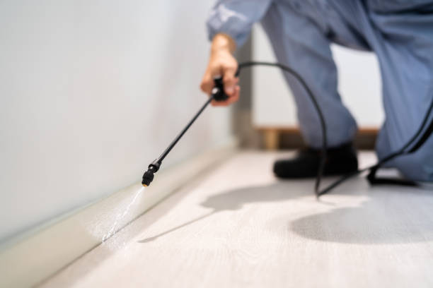 Professional exterminator conducting IPM assessment in Pierce City