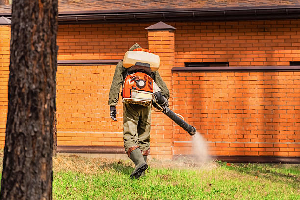 Bed Bug Clearance Verification and Documentation in Pierce City